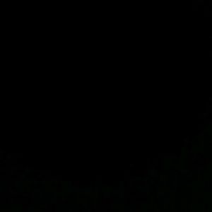 Meet your Posher, Megin divincenzo